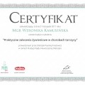 Powiększ obraz: certificate 7