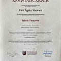 Powiększ obraz: certificate 4