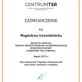 Powiększ obraz: certificate 1