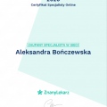 Powiększ obraz: certificate 1