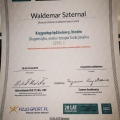 Powiększ obraz: certificate 7