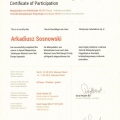 Powiększ obraz: certificate 29