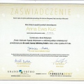 Powiększ obraz: certificate 19