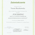 Powiększ obraz: certificate 10