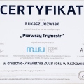Powiększ obraz: certificate 6