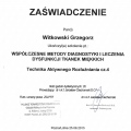 Powiększ obraz: certificate 13