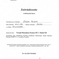 Powiększ obraz: certificate 3