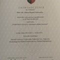Powiększ obraz: certificate 6