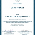 Powiększ obraz: certificate 7