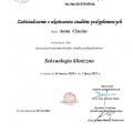 Powiększ obraz: certificate 16