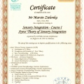 Powiększ obraz: certificate 20