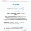 Powiększ obraz: certificate 9