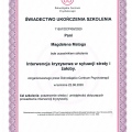 Powiększ obraz: certificate 6