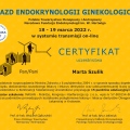 Powiększ obraz: certificate 2