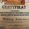 Powiększ obraz: certificate 17