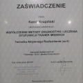 Powiększ obraz: certificate 8