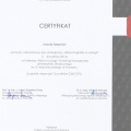 Powiększ obraz: certificate 9