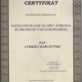 Powiększ obraz: certificate 16