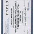 Powiększ obraz: certificate 14