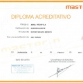 Powiększ obraz: certificate 6