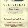 Powiększ obraz: certificate 24