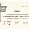 Powiększ obraz: certificate 2