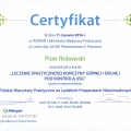 Powiększ obraz: certificate 5