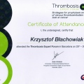 Powiększ obraz: certificate 63