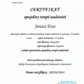 Powiększ obraz: certificate 1