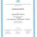 Powiększ obraz: certificate 13