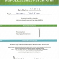 Powiększ obraz: certificate 8