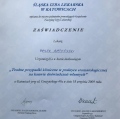 Powiększ obraz: certificate 12