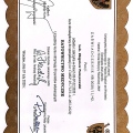Powiększ obraz: certificate 16