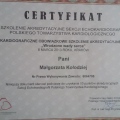 Powiększ obraz: certificate 6