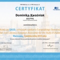 Powiększ obraz: certificate 80