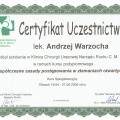 Powiększ obraz: certificate 5