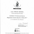 Powiększ obraz: certificate 38