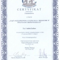 Powiększ obraz: certificate 12