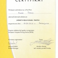 Powiększ obraz: certificate 8