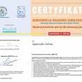 Powiększ obraz: certificate 23