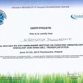 Powiększ obraz: certificate 8