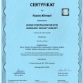 Powiększ obraz: certificate 5