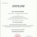 Powiększ obraz: certificate 1