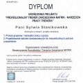Powiększ obraz: certificate 2