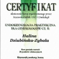 Powiększ obraz: certificate 2