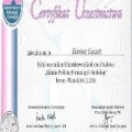 Powiększ obraz: certificate 3