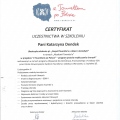 Powiększ obraz: certificate 1