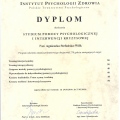 Powiększ obraz: certificate 1