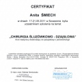 Powiększ obraz: certificate 17