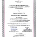 Powiększ obraz: certificate 3